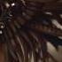 Really Slow Motion Giantapes The Dreamer Wakes Epic Intense Emotional Trailer