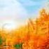 The First Islamic Nasheeds Just Vocals Emotional Nasheed Islamic Background Music