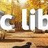 Dog Park Silent Partner No Copyright Music