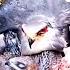 Black Winged Kite Birds Protect Their Children Forever