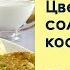 Цветы бузины в солёном кляре косматице Рецепт от шеф повара Максима Григорьева