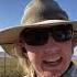 How To Move Cows By Yourself Cows Doityourself