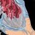 YNG Martyr Cold Hands Prod Logan M