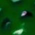 RQ All Preview 2 Classic Sunny Bunnies Deepfakes V2 FakeMe Edition In G Major 50