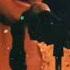 Sade Getting Down On Nothing Can Come Between Us Like The QUEEN She Is Live 1993 WE L VE SADE