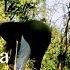 Maitre Gims Feat Jul Dj Last One Boucan Dancers Lil Jazz Marta Avgustinovych