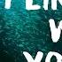 I Like The Way You Die Lyrics By Black Honey