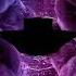 Feeling Mashup Silent Cries Mashup Break Up Mashup New Songs 2021 Songs