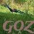 ALLAH NE GOZEL YARADIB