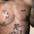 2Pac Snakes Fakes