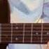 Aloha Heja He Guitar Cover Tik Tok