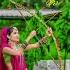 New Aadivasi Song Chori Chori