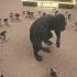 100 Men Vs 1 Gorilla For 1 Million