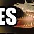WHAT S COMING NEXT Robin Rift Aria A Review Of The News Drop For 5 20 In EPIC SEVEN