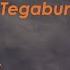 Tegabun Süresi Kurany Kerim Türkmen Dilinde Mealy