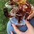 K303 DUAL RECYCLER BONG