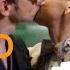 GOOD OMENS Elephant Music Untold Grace Gracia No Dicha SUB ENG SPANISH