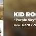 Kid Rock Purple Sky