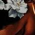 Strange Fruit