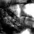Dark Pirate Music Ghost Ship