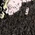 Palace Of Worms Palace Of Worms Botanist Split 2013 Full Album