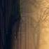 NTO Invisible
