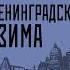 Василий Ардаматский Ленинградская зима Советская контрразведка в блокадном Ленинграде