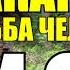 МАКАРЫЧ В ТАЙГЕ ЗАВАЛИЛО ЕЛЕ ВЫЖИЛ ГОРНЫЕ ОПОЛЗНИ ОБВАЛЫ ЖИЗНЬ В ТАЙГЕ 12 из