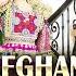 Hila Massi Afghani Dress Entrance Mast Dance Hamayoun Angar New Afghan Song