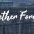 Together Forever Slowed Reverb Yo Yo Honey Singh Slow Diary