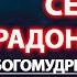 Акафист святому преподобному Сергию Радонежскому второй акафист Молитва Сергию Радонежскому