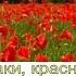 Маки маки Красные маки горькая память Земли Песня