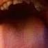 Red Hot Chili Peppers Tippa My Tongue Official Music Video