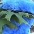Cookie Monster Eating Leaves Acorns Pinecones Autumn Fall Time