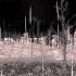 Slendytubbies II Lake Ambience