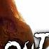SLIPKNOT ALL OUT LIFE LIVE Dallas TX 2022