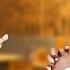 Nkosazana Daughter S Date Meet Her LOVE Of Her LIFE And Understanding Who She Really Is