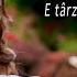 Irina Maria Birou E Tarziu Sa Ti Para Rau Official Video NOU