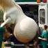 Pregnant Mare Birth Two Cute Baby Foal After Rescuing Mare Horse Horselover Pragnent Rescuehorse