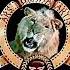 Metro Goldwyn Mayer With Low Pitch And TV 14 LSV On IFC