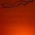First Sunrise In India Arunachal Pradesh
