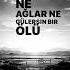 Grup Roj Duydum Ki Bensiz Yaralı Gibisin
