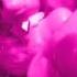 MLP Smile Music Video