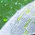 Why Don T We Talk About Acid Rain Anymore