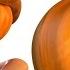 Finger Family Halloween Song Five Little Pumpkins Halloween Song For Kids From Dave And Ava