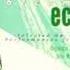 Ednaswap Torn Morning Goes Eclectic