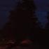 Boreal Fiends