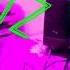 Young Jeezy Jeezy The Snowman Instrumental