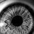 Epic Suspense Music Action Horror Background Instrumental