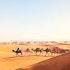 Camel Caravan Back To The Village MERZOUGA Through Erg Chebbi Sundunes
